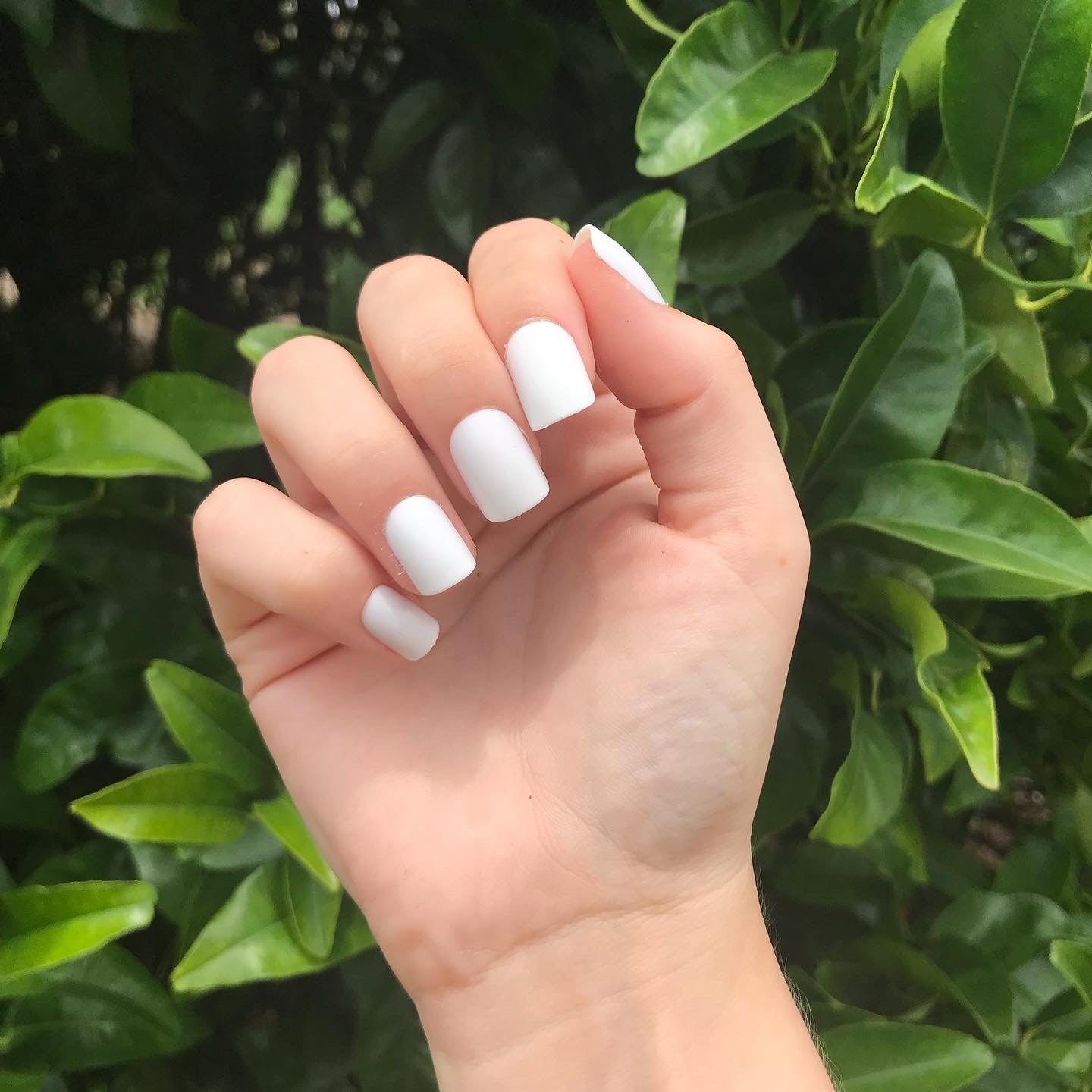 Ice